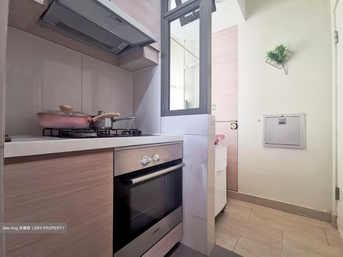 Parc Vera (D19), Condominium #592544851
